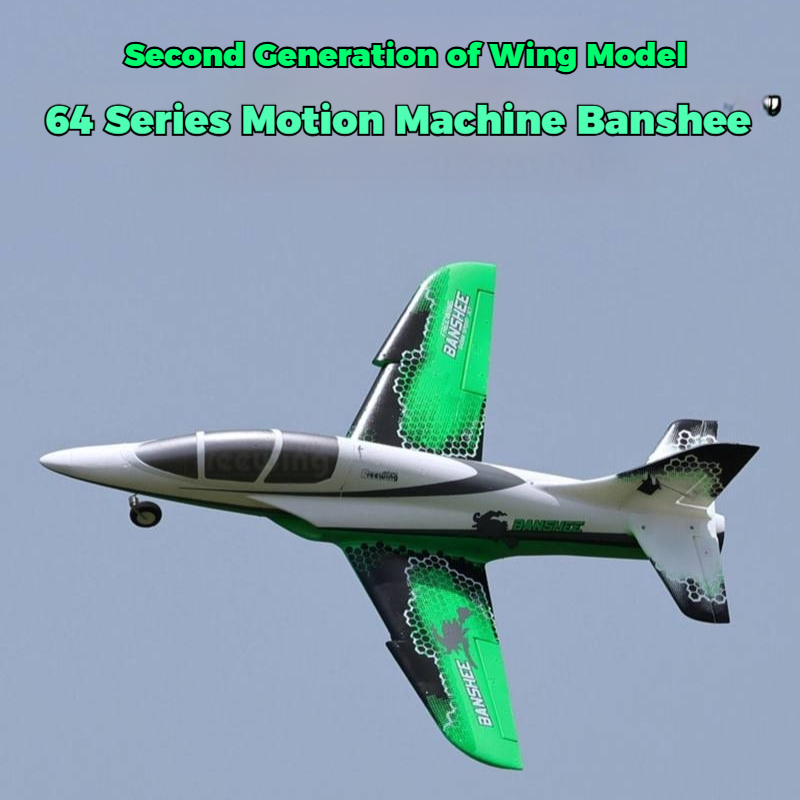 Wing Wing Banshee RC Airplane  - Outdoor Sport Hobbies 리뷰 및 가격