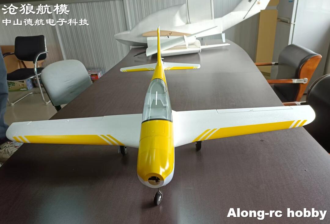 RC EPO Foam Plane Sport Aeroba - Outdoor Sport Hobbies 리뷰 및 가격