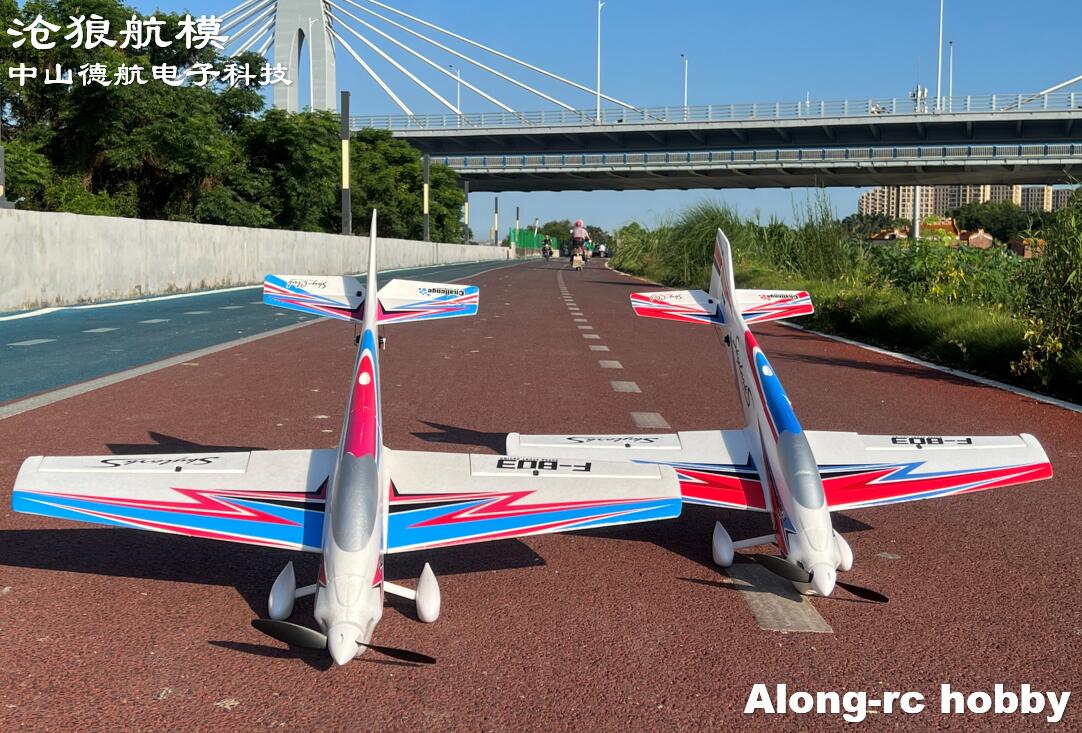 F803  F3A Skylarks 1000mm Wing - Outdoor Sport Hobbies 리뷰 및 가격