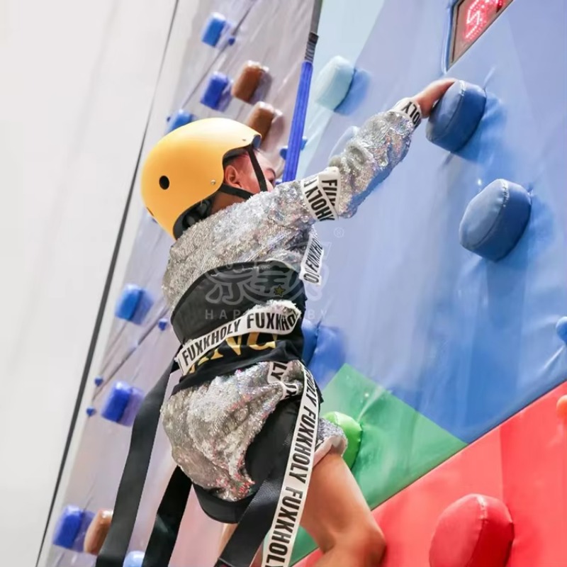 Professional Rock Climbing Wal - Outdoor Sports Center 리뷰 및 가격