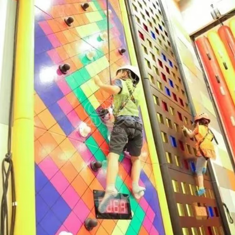 Professional Rock Climbing Wal - Outdoor Sports Center 리뷰 및 가격