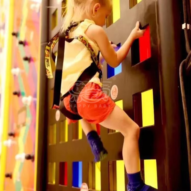 Professional Rock Climbing Wal - Outdoor Sports Center 리뷰 및 가격